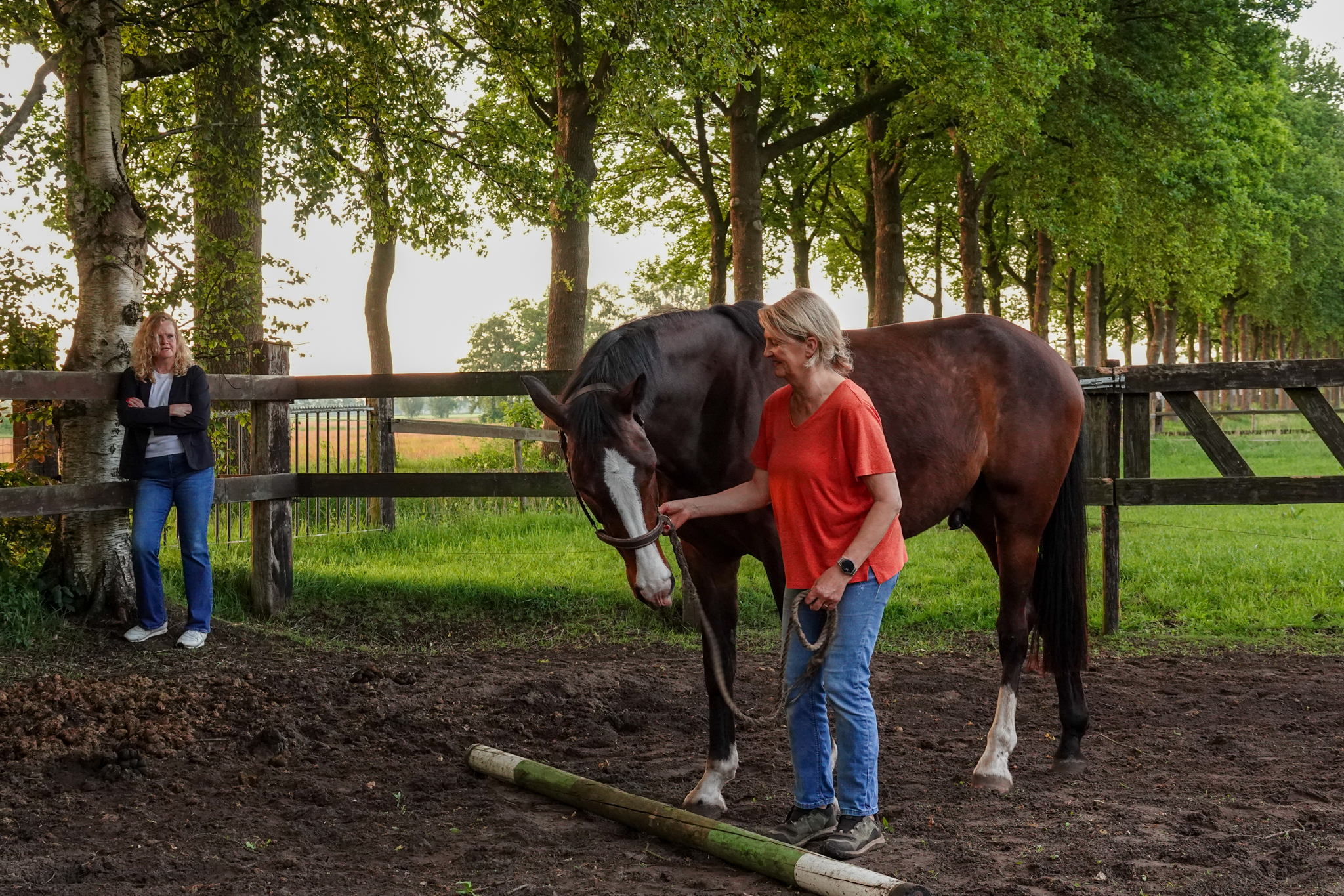 Equivalent coaching actie 4