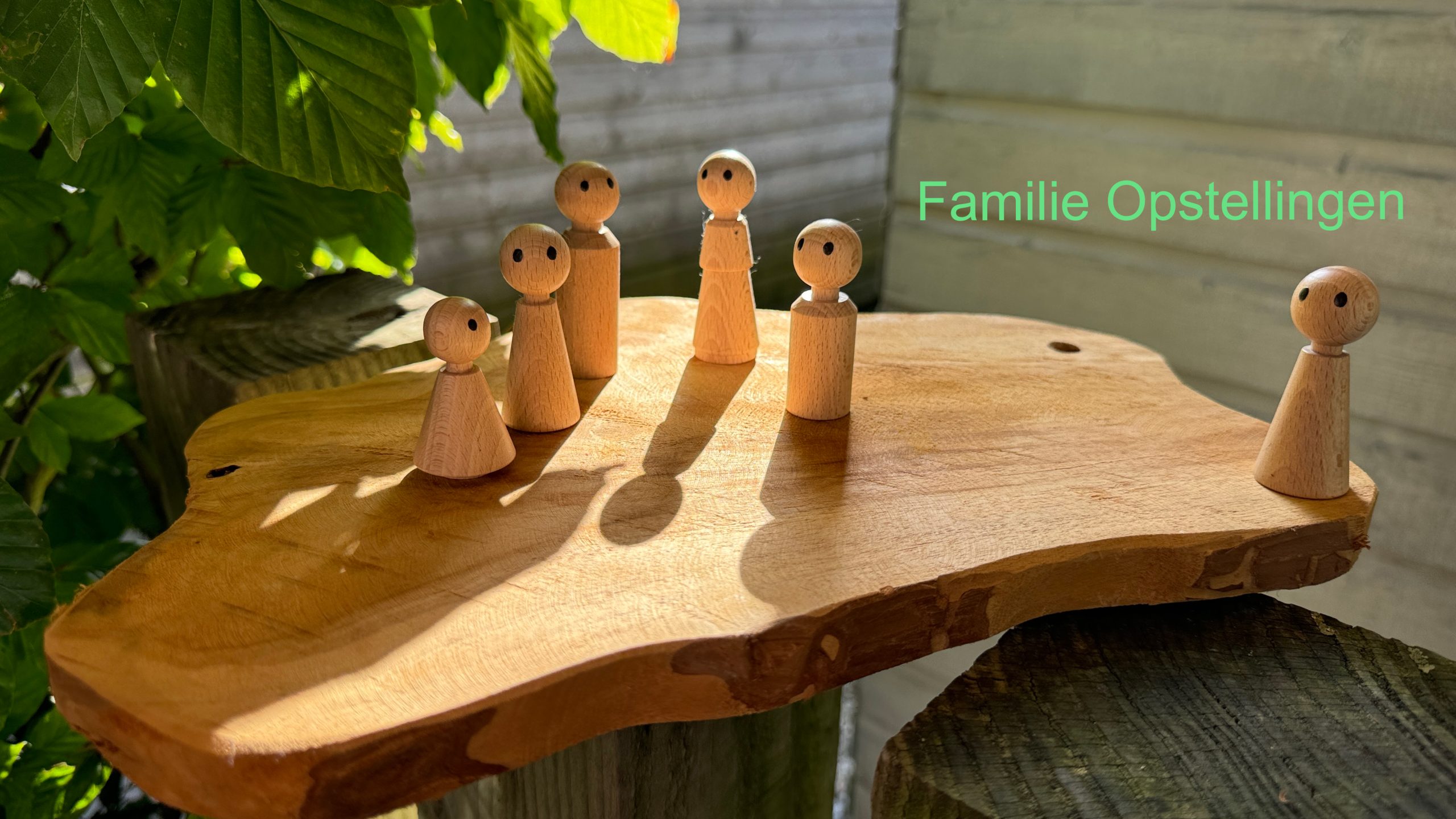 Familie Opstellingen
